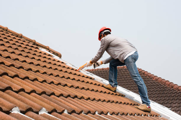 Best Cold Roofs  in Mabscott, WV